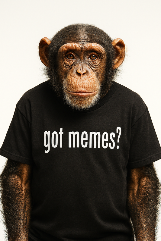 T-shirt - got memes?
